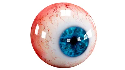 глаз 3D Модель $7 - .blend .fbx .obj .unknown - Free3D