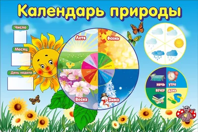 Для календаря природы в детском саду