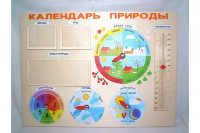 Календарь природы. Карточки для занятий. | Календарь, Воспитание детей,  Природа