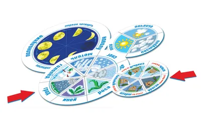Игровой стенд фигурный \" Календарь природы\" для детского сада - купить с  доставкой по выгодным ценам в интернет-магазине OZON (789778675)