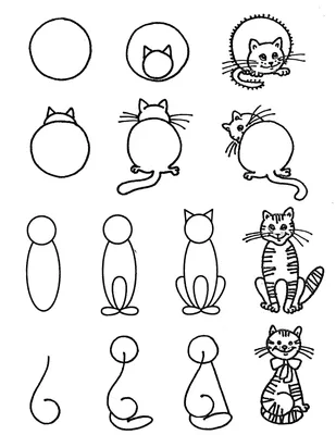 Кошка рисунок для детей простой карандашом - 65 фото