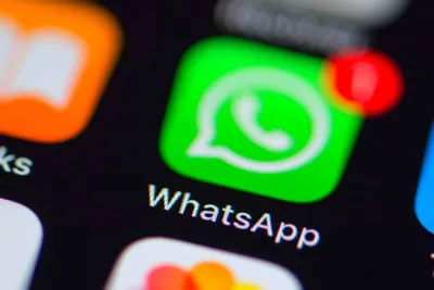 WhatsApp (WABA): как подключить официальный WhatsApp Business Api | Wazzup