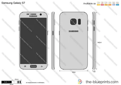 Samsung Galaxy S7 vector drawing