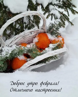 С добрым новогодним утром, Полевской! | 01.01.2024 | Полевской - БезФормата
