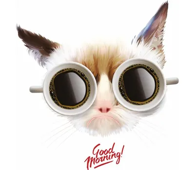 Кот понедельника: открытки с добрым утром - инстапик | Утро понедельника, Доброе  утро, Кот