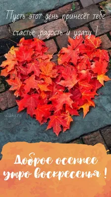 Ростов Первый - Добрый день. Спасибо за фото: @mihail.platiny #осень  #листья #набережная #дон #autumn | Facebook