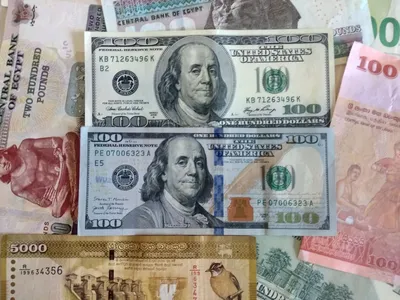 Стало известно, какая валюта может заменить доллар - Газета.Ru | Новости