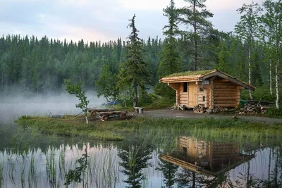 Картинки домик, лес, озеро, отражение - обои 1280x800, картинка №151723