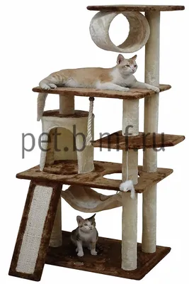 Домик когтеточка \"Комплекс Сфинкса\" для кошки купить недорого ⋆ Pet  БМФ-Интернет зоомагазин официальный сайт