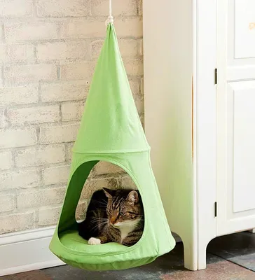 Как выбрать домик для кота или кошки?
