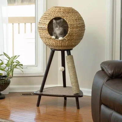 Домик для кошек когтеточки игровые комплексы Дом для кота И-82 купить в  интернет магазине по выгодным ценам 16600.0