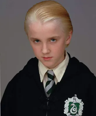 Draco Malfoy Wallpaper | Гарри поттер, Смешной гарри поттер, Баскин роббинс