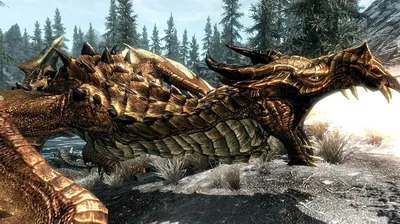 Skyrim: 10 самых крутых драконов | Все о Кино | Дзен