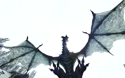 Реалистичные драконы / Skyrim Realistic Texture dragons - Живность I  Существа - TES V: Skyrim LE - Моды на русском для Skyrim, Fallout,  Starfield и других игр - Gamer-mods