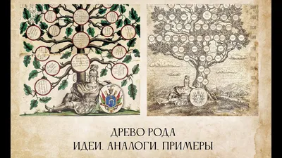 Трёхсотлетнее древо рода Шишкиных, третье издание