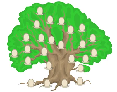 Семейное Древо Вашей Семьи — стоковая векторная графика и другие  изображения на тему Фамильное древо - Фамильное древо, Векторная графика,  Дерево - iStock