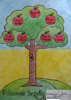 Древо Жизни – программа для построения генеалогических деревьев | genery.com