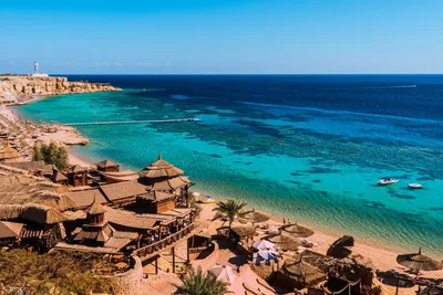 Туры в Египет на Средиземное море: какие здесь отели и сколько они стоят? |  Ассоциация Туроператоров