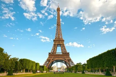 Обои на рабочий стол Эйфелева башня возвышается над домами и кронами  деревьев в Париже / Paris, France / Франция, обои для рабочего стола,  скачать обои, обои бесплатно