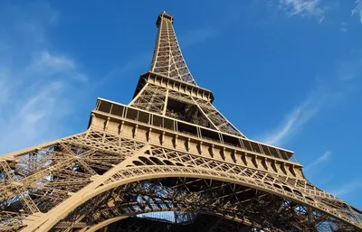Фото обои в стиле город 254x184 см Эйфелева башня в Париже (223P4)+клей  купить по цене 850,00 грн