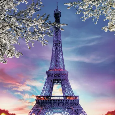 Париж, Франция, Эйфелева башня Обои 750x1334 iPhone 6, 6s, 7, 8, SE (2020)