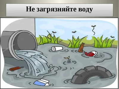 Очистить и сохранить: как в России спасают реки и озера - МК