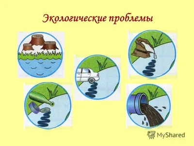 Знак охраны воды (много фото) - treepics.ru