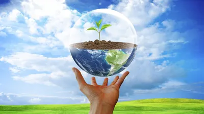 Экологическое право: основные принципы и обязанности» — создано в Шедевруме