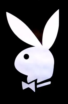Playboy Logo png download - 800*800 - Free Transparent Playboy Bunny png  Download. - CleanPNG / KissPNG