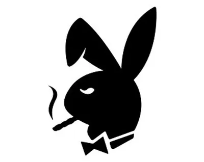 Classic Playboy Magazine Bunny Logo 24in x 36in Poster, Black - Wall Art  Print | eBay