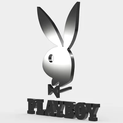 File:Play Boy TV logo 2016.svg - Wikimedia Commons
