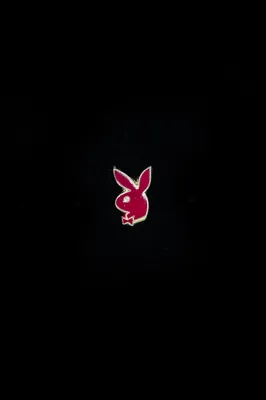 Playboy Logo Animation by Mukhammadsaid Jr. on Dribbble