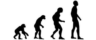 13 мифов об эволюции человека - Антропогенез.РУ