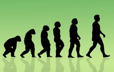 Ученые пересмотрели историю эволюции человека - Korrespondent.net