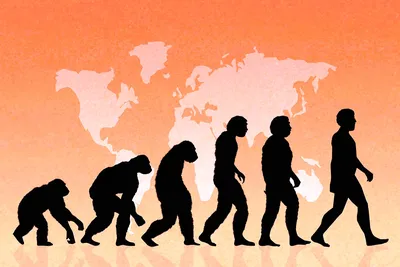 Эволюция Человека Concept — стоковые фотографии и другие картинки Эволюция  - Эволюция, Развитие, Прогресс - iStock