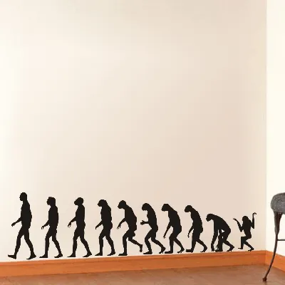 Эволюция человека - красивые картинки (60 фото)