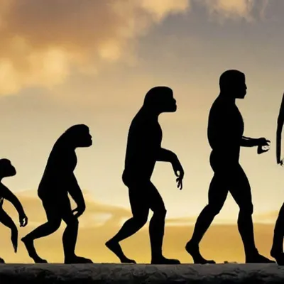 14 открытий 2022 года об эволюции человека (Smithsonian, США) | 01.01.2023,  ИноСМИ