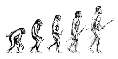 Эволюция человека. обезьяна и австралопитек, неандерталец и животное |  Бесплатно векторы