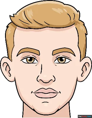 Cartoon Face Drawing - How To Draw A Cartoon Face Step By Step