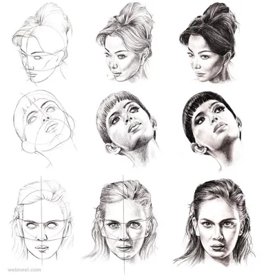 Male face Drawing Reference and Sketches for Artists