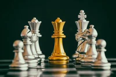 Ферзь в шахматах: как ходит и как бьет - Блоги - Sports.ru