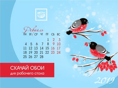Красивые календари на рабочий стол (обои) февраль 2020 - КонтурНорматив