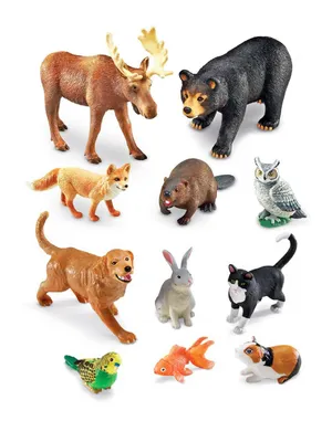 Набор фигурок животных MASAI MARA из серии *Мир диких животных: Семья  коал*, 2 пр. - MM211-138 | детские игрушки с доставкой от интернет-магазина  RC-TODAY.RU