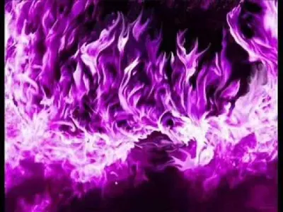 Цветы фиолетового цвета - 61 фото