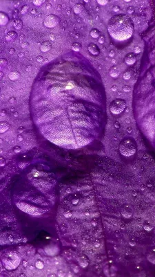 Фиолетовые и сиреневые камни: названия и фото, драгоценные и полудрагоценные