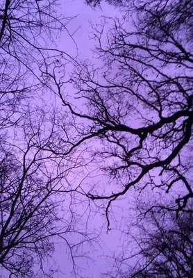 Как получить фиолетовый цвет при смешивании красок: секреты колористики  (+44 фото)