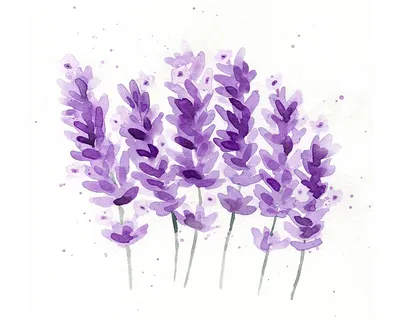 Маленькие полевые цветы фиолетового цвета - 65 фото