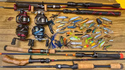 Bait Finesse System | The BFS Fishing Guide - Wired2Fish