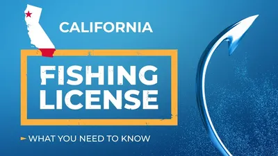 California Fishing License: The Complete Guide (Updated)