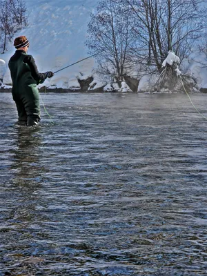 Winter Fishing in Idaho: What You Need to Know